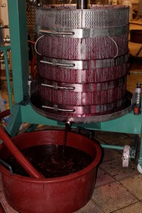 pressing grapes