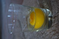 Glass of egg