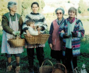 ladies picking olives